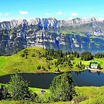 Steinröschen Flumserberg