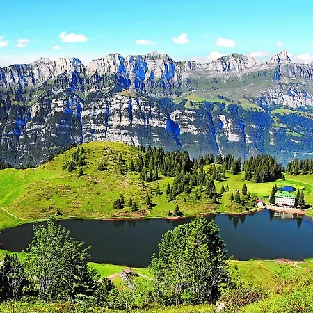 Steinröschen Flumserberg