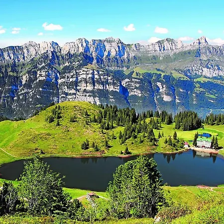 Steinroeschen Flumserberg
