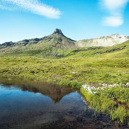 Apartament Steinroeschen *