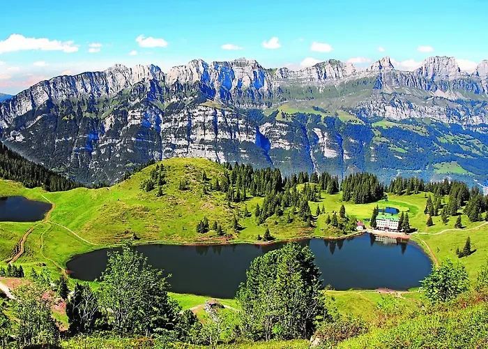 Steinroeschen Flumserberg